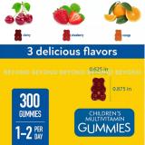 Member's Mark Children's Multivitamin Gummies, Assorted Fruit Flavors, 300 ct.